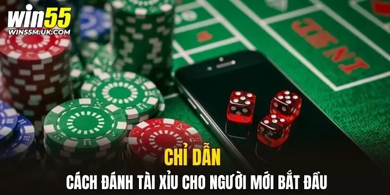 Chỉ dẫn cách đánh tài xỉu cho người mới bắt đầu Chỉ dẫn cách đánh tài xỉu cho người mới bắt đầu