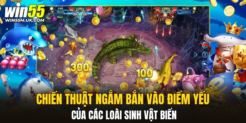 Chiến thuật ngắm bắn vào điểm yếu của các loài sinh vật biển Chiến thuật ngắm bắn vào điểm yếu của các loài sinh vật biển