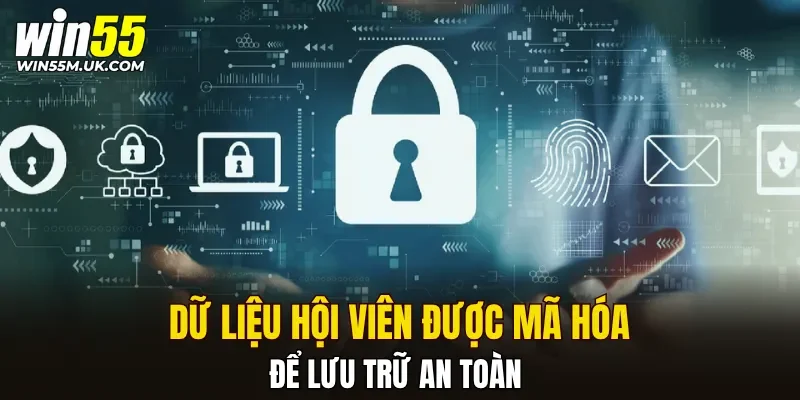 Dữ liệu hội viên được mã hóa để lưu trữ an toàn Dữ liệu hội viên được mã hóa để lưu trữ an toàn