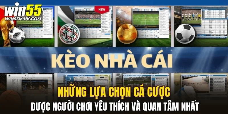 Những lựa chọn cá cược được người chơi yêu thích và quan tâm nhất Những lựa chọn cá cược được người chơi yêu thích và quan tâm nhất