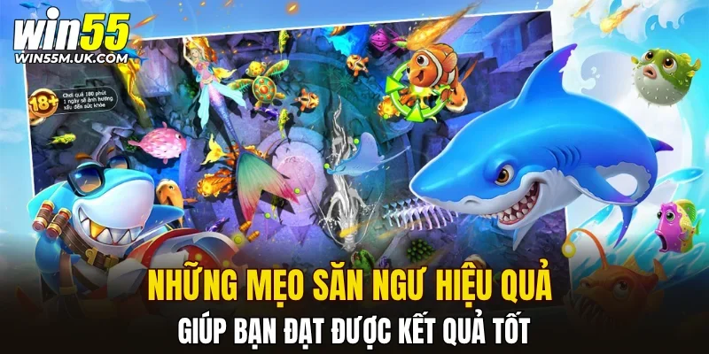 Những mẹo săn ngư hiệu quả giúp bạn đạt được kết quả tốt Những mẹo săn ngư hiệu quả giúp bạn đạt được kết quả tốt
