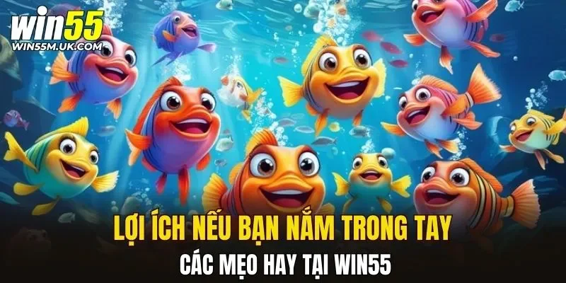 Lợi ích nếu bạn nắm trong tay các mẹo hay tại WIN55 Lợi ích nếu bạn nắm trong tay các mẹo hay tại WIN55