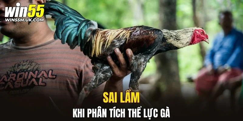 Sai lầm khi phân tích thể lực gà Sai lầm khi phân tích thể lực gà